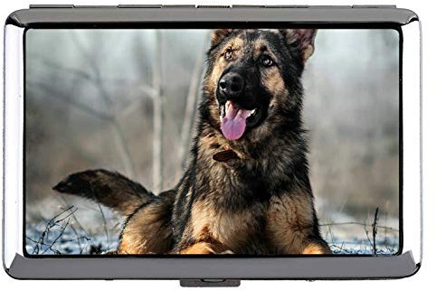 Visitenkartenetui, Stiefel Animal Panda Visitenkartenetui Visitenkartenetui (Edelstahl)