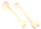 PARTY DISCOUNT NEU Knochen ca. 20 cm, 2 Stk.