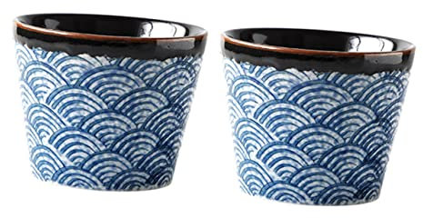 Cabilock 2 Pièces Tasse à Thé Japonaise Tasse à Saki En Céramique Gobelets à Saké Tasses à Saké En Porcelaine Tasse à Thé Kungfu Tasse à Japonaise Tasse à Saké Manuel Carafe