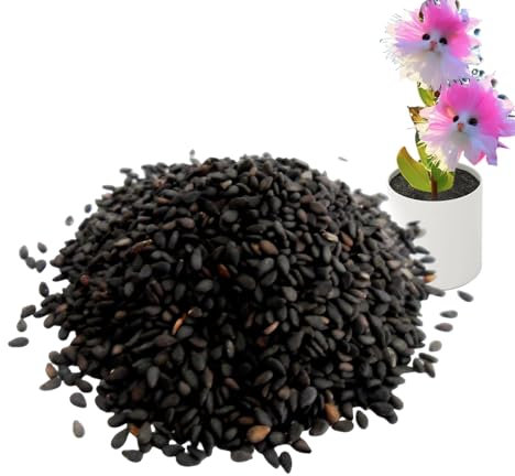 Poludatly 1 Pack Katzen Gesichts Blume, Orchideen Pflanze Leben, Orchideen Samling, Echter Blüte Samling, Einzigartige Katzen Form Blume Für Schlafzimmer Studienraum, Dekorative Frische Blüten