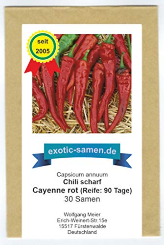 Wohl eine der berühmtesten Chili-Sorten - Cayenne-Chili - 30 Samen