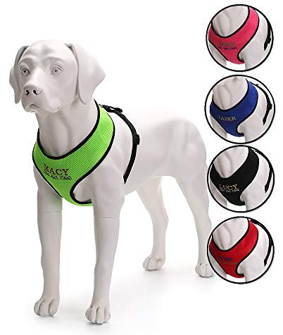 Oncpcare Langlebiges Hundegeschirr mit Namen, besticktem Namen, Telefonnummer, Haustiergeschirr, personalisierbar, weiches Netzgewebe, gepolstertes Halsband für Hunde