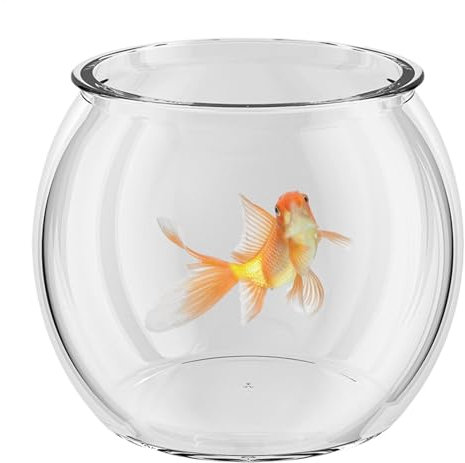 Clear Glass Fish Bowl - Bubble Ball Flower Vase | 2.3L/4L & 6L Fish Bowl | Small Fish Tank | Gold Fish Aquarium | Modern Aquatic Animal Container for Home Decor