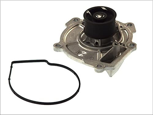Hepu P1724 Wasserpumpe