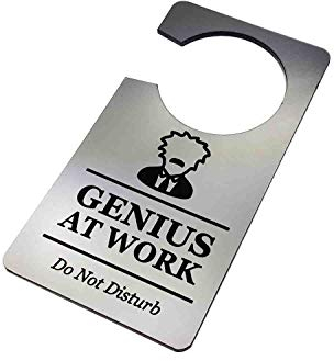 Cartello generico in argento con scritta in lingua inglese Genius at Work, Do Not Disturb, ideale come regalo per la porta