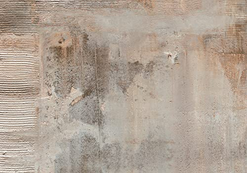 decomonkey Fototapete Beton Optik Abstrakt 350x256 cm Design Tapete XXL Fototapeten Vlies Tapeten Vliestapete Wandtapete moderne Wand Schlafzimmer Wohnzimmer Büro Stein Textur Grau Braun