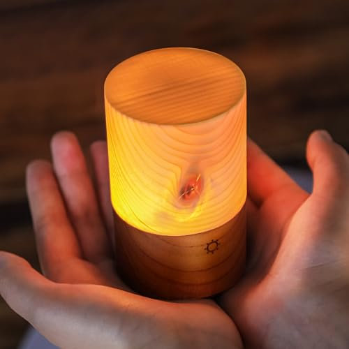 COOMI SHOP LED Holz Licht, Dimmbar Nachtlicht mit Touch Control, Kabellose Tischlampe, Warmes Licht für Restaurant/Kindergarten/Camping/Geschenke
