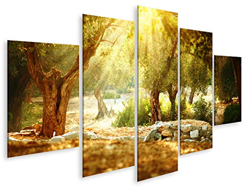 islandburner, Bild auf Leinwand Olivenbäume Garten. Mediterraner Olivenhain mit altem Olivenbaum Wandbild Leinwandbild Kunstdruck Poster 170x80cm - 5 Teile