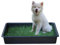 PetGround Empapador Ecológico para Perros, Alfombrilla de Césped Natural, Inodoro, Reutilizable, Caja Impermeable, Pack XXL (80cm x 80cm)