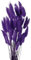 Diyxisk Pampasgras Deko,50 Stück Natürliche Trockenblumen Pflanze,Schilf Boho,Modern Vintage,Geeignet für Vase Hochzeit Tisch Zimmer Home Decor Accessoires Wohnzimmer（Dunkellila）