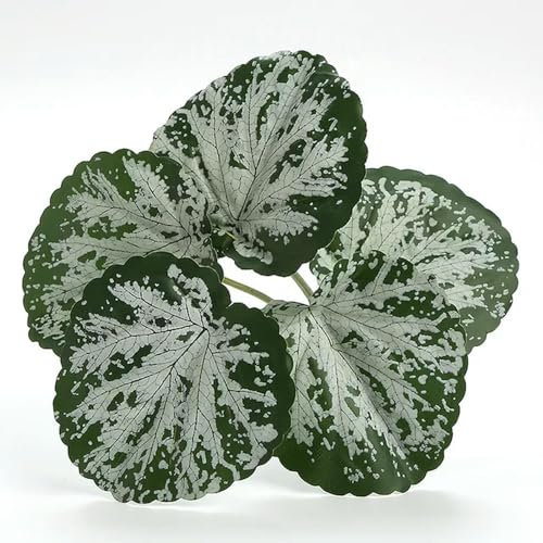 EboLD Künstliche Pflanze Hochzeit Blumensimulation Grüne Pflanzen Schildkröte Rücken Begonie Blatt Falsche Blume Schlafzimmer Dekoration Kunststoff Blätter-weiße Begonie