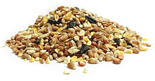 Copdock Mill Pet Performance Four Season Wild Bird Seed 25kg - All Year Round Feed With Black Sunflower Seeds for Birds - 100% Natural Nutritional Bird Seed for Small Garden Birds…