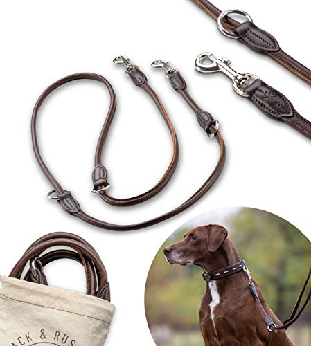 Premium Leder Hundeleine Dora 2,0m - Hunde Leder Leine mit Karabiner - verstellbar Dora (Braun)
