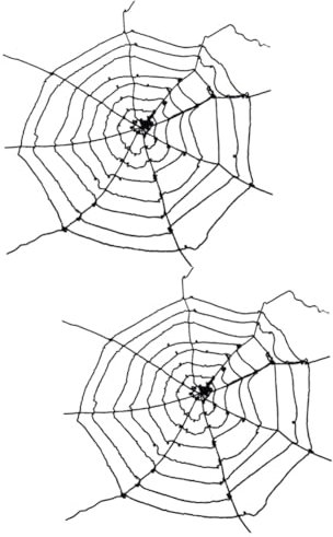 Alipis 2st Halloween-Dekoration Riesige Spinnendekoration Baumwolldekor Spinnennetz-Seil Gefälscht Gruseliges Halloween-Spinnennetz Wiederverwendbares Spinnennetz Gurtband Draussen Netze