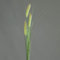 DPI Graswedel Gras Kunstpflanze Schilf Kunstgras grün 85 cm