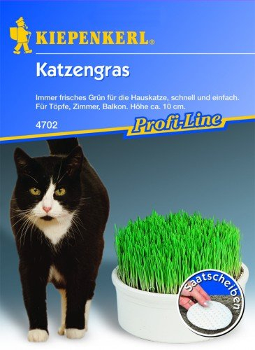 Katzengras (5 Saatscheiben)