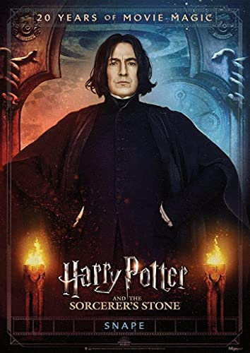 MIGHTYPRINT Harry Potter und der Stein der Zauberer zum 20. Jahrestag – Snape – langlebige Wandkunst, 43,2 x 61 cm, nicht aus Papier – offiziell lizenziertes Sammlerstück