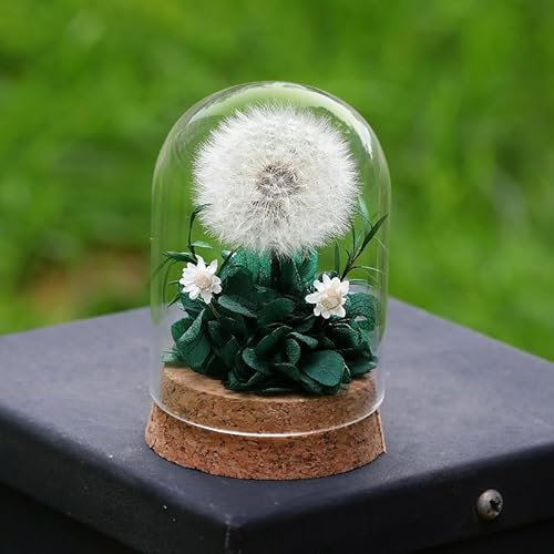 Soffione in Barattolo – Desiderio Esaudito,Soffione Reale,Conservato per Sempre,Lavorato a Mano,Idea Regalo per Donne,Amica,Regalo per Compleanno,Matrimonio,Natale,Decorazione in Vetro,Portafortuna