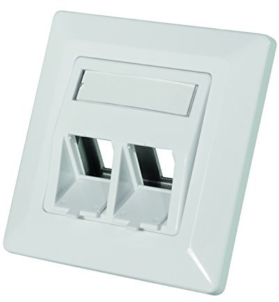 LogiLink Professional NK4020 Keystone Unterputzdose für 2 Keystone Buchsen/ Module mit 45° Auslass
