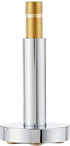 hansgrohe Raindance E Ersatz-Duscharm, 7,6 cm, Chrom, für Deckenmontage, 27393001