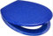 Euroshowers Rainbow Soft Close Top Fix/Blind Hole Fix/Standard Fix Toilet Seat (Blue with Silver Glitter)