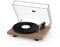 Pro-Ject Debut Carbon EVO, Audiophiler Plattenspieler mit Carbon Tonarm, elektronischer Geschwindigkeitsumschaltung und vormontiertem 2M Red Tonabnehmer (Echtholz Walnuss)