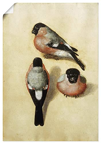 ARTLAND Wanddeko Poster & Kunstdrucke Wandposter Hochformat Tiere Vogel Gimpel Dompfaff Albrecht Dürer U3GA