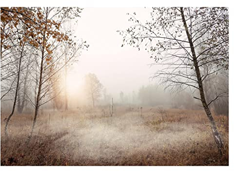 WallArena - Vlies Fototapete Bäume Nebel Wald Landschaft Natur Wiese Gras 312x219 cm - Fototapeten - Tapeten - für Wohnzimmer Schlafzimmer - Vliestapete Wandtapete Tapete 3D Effekt- inkl. Kleister