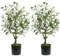 Zstar 2 piante artificiali grandi di ulivo artificiali, 60 cm, con vaso, foglie e frutti, albero di ulivo artificiale per balon, camera da letto, ufficio, giardino, matrimonio, decorazione