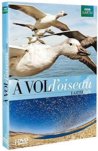 A vol d'oiseau [FR Import]