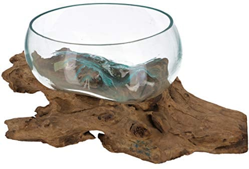 GURU SHOP Wurzelholz Vase, Schale, Schüssel - Ø Glas 30 cm M7, Braun, Vasen & Blumentöpfe
