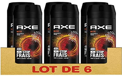 AXE Deodorant für Herren, Spray, Moschus, 48 Stunden, Non-Stop, frisch, Moschus und Farn, 6 x 200 ml