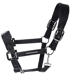 Cavallo HALLONA Halfter Black Horsefashion 2022, Größe:WB