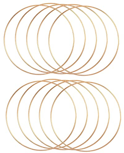 Metallringe, 10 Stück Ringe zum Basteln, 10cm Dekoringe, Rund Metallring, Metallringe zum Basteln, Deko Ringe zum Aufhängen Geeignet für Kränze Rahmen Hochzeitsdekorationen Kunsthandwerk