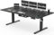 Devoko Höhenverstellbarer Schreibtisch 200x80cm mit Typ-C Ladeanschluss, Schreibtisch Höhenverstellbar Elektrisch, Mobiler Elektrisch Computertisch mit Kabel Management Tray, Schwarz
