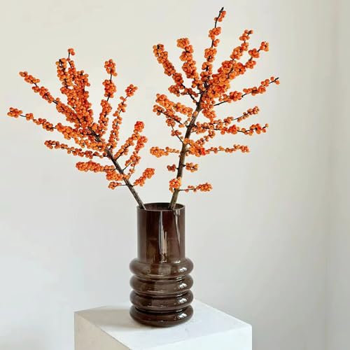 30 pcs stechpalme pflanze Samen deko pflanze zimmerpflanzen Ilex aquifolium, bäume garten winterhart gartenpflanzen exotische samen kleines geschenk für frauen ingarden bonsai bäumchen