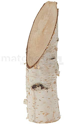 Natürlicher Birkenholzstamm schräger Schnitt - rustikaler Deko-Baumstamm aus Birke Echtholz für DIY-Bastelprojekte, Tischdeko, Adventsgestecke & kreative Ideen - Holzstamm Ø 60-90 mm x 250 mm