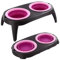 ADEPTNA Collapsible Pet Feeding Bowl Set with Foldable Tray- Easy to Clean and Anti-Slip Stand Great for Traveling Hiking Camping Home Indoor Outdoor (PURPLE)