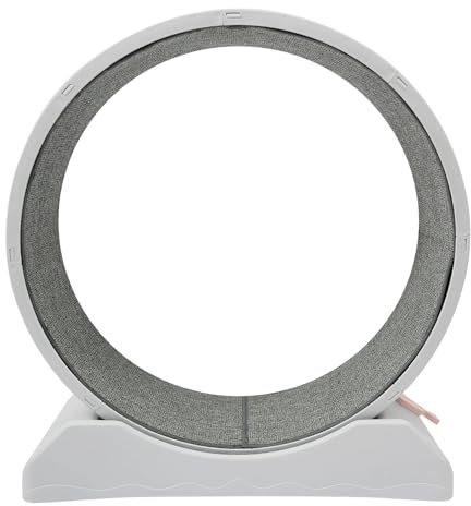 Katzenlaufrad, Laufrad für Katzen Leise, abnehmbare Teppich,Mittelgroß 80cm, Feststellbar, Katzenspielzeug für Wohnungskatzen, Haustier Katze Laufrad Spielzeug,Grau