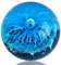 EUSTUMA Figurine de sphère de Fleur Bleue en Verre soufflé à la Main, Boule de Verre de Presse-Papier Bleu, Collection de Plante de mer pour Cadeau d'anniversaire, Presse-Papier en Verre