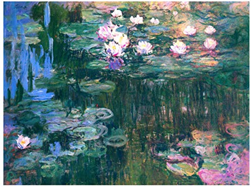 AIDEMEI Claude Monet Berühmte Gemälde Seerosen 5D DIY Diamond Painting Vollstickerei Strass Runden 30x40Cm