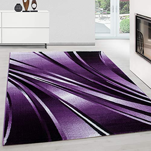 Teppium Moderner Kurzflor Teppich Wohnzimmer 250x350 (240 x 340 cm) Lila - Teppich Waschbar, Abstrakt Wellen Design, Pflegeleicht und Weich - Ideal für Schlafzimmer, Esszimer und als Küchenteppich