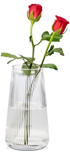 Briful Grand vase en verre transparent de 20 cm pour fleurs, vase décoratif en verre rainuré de style moderne, décoration de table pour mariage, bureau, salon