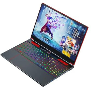 Tuofudun 16,1 pollici Gaming Laptop Core i9 10885H i7 GTX 1650 4G IPS 1920x1080 144Hz Ultrabook Win11 Notebook Computer Laptop