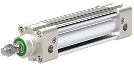 RIEGLER 16.DMD.100050 Serie SAI Normzylinder, Doppeltwirkend, 100mm Kolben-Ø, 50mm Hub, G 1/2 Anschluss
