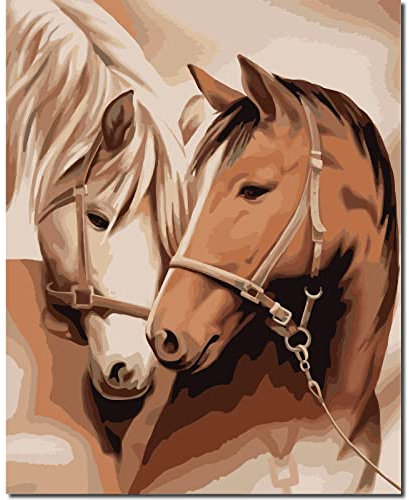 Fuumuui Kit de peinture par numéros avec pinceaux, peintures acryliques et toile de 40 x 50 cm, pour débutants adultes et enfants, motif animal, couple de chevaux