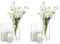 Deko Vase Glas Zylinder Tischdeko: Glasseam 2 Satz Blumen Vasen Set Modern Glasvase Rund Glaszylinder Blumenvase Tulpenvase Tischvase Fuer Hochzeit Wohnzimmer Tulpen Rose, 15/20/25cm Hoch