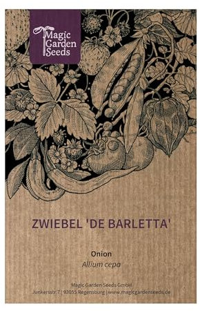 Zwiebel 'De Barletta' (Allium cepa) ca. 250 Samen schalenlose Silberzwiebel sehr winterhart