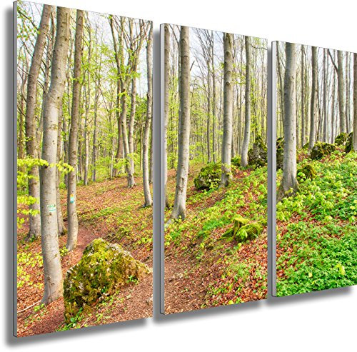 Fotoatelier Dirk Haas Dreiteiler Leinwandbilder XXL - Naturbilder - Wald - Buche - Blätter - Grün - Leinwand dreiteilig (ges. 120 x 80 cm)
