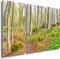 Fotoatelier Dirk Haas Dreiteiler Leinwandbilder XXL - Naturbilder - Wald - Buche - Blätter - Grün - Leinwand dreiteilig (ges. 120 x 80 cm)